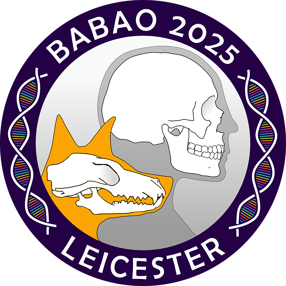 BABAO 2025
