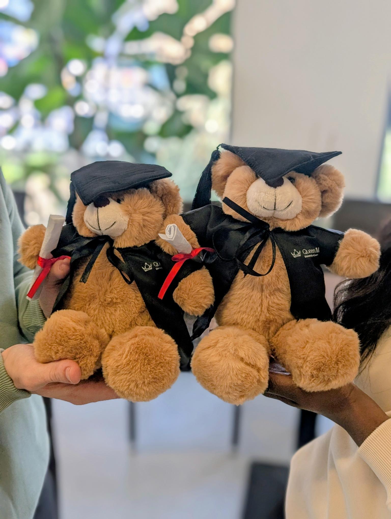 Ted