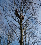 Climbing