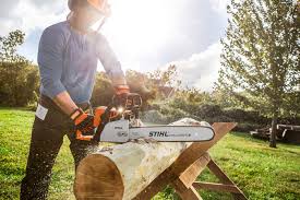 Chainsaw for home use