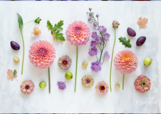 Level 2 Technical Certificate in Floristry