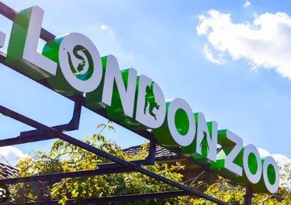 London Zoo