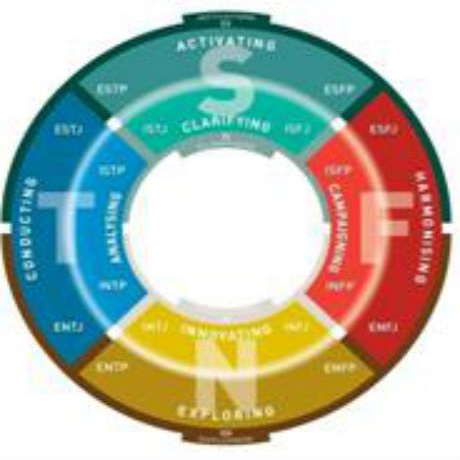 Type Dynamics Indicator
