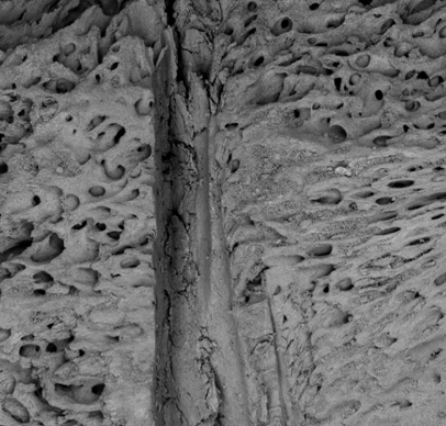 Grey textured clay zoomed in