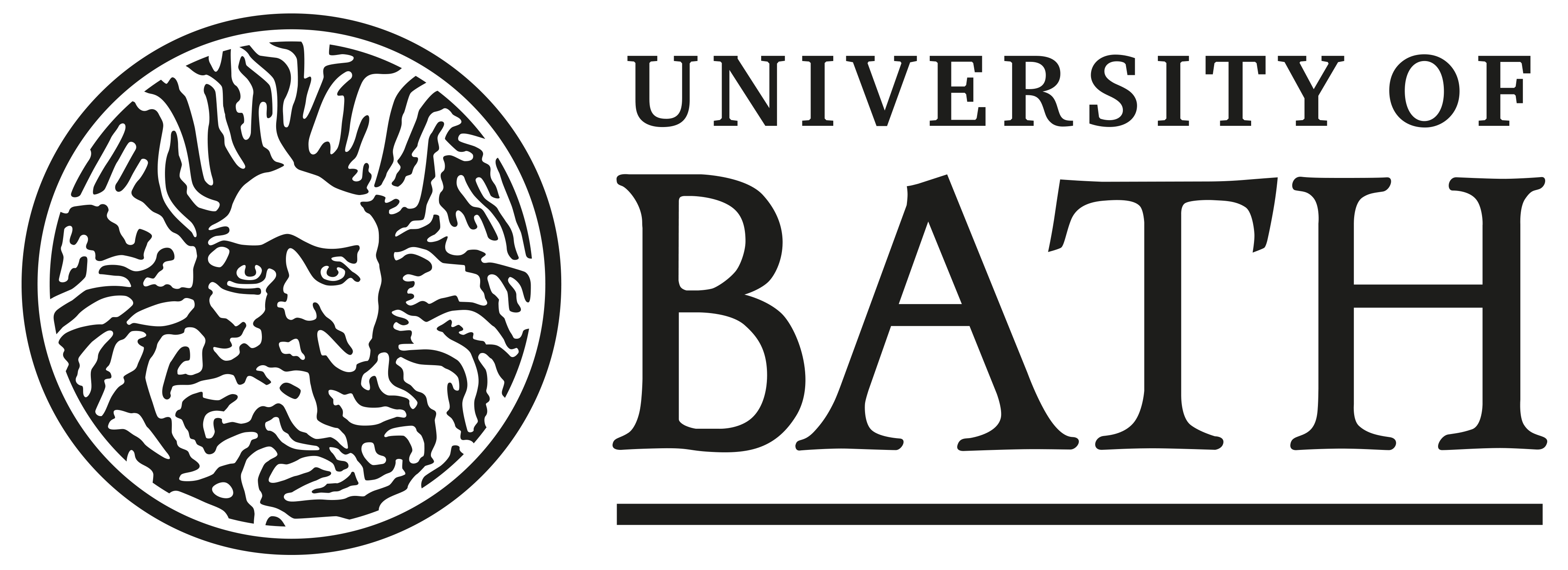 University logo