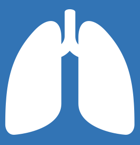 Outline of cartoon lungs on a blue background