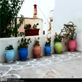 Greek 2
