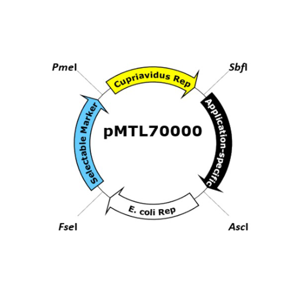 pMTL70000