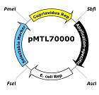 pMTL70000 Modular Plasmid Vectors
