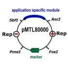 pMTL80000 Modular Plasmid Vectors