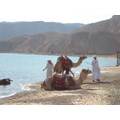 Arabic Level 2