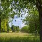 Trent Building framed by tree and viewed from Jubilee Avenue