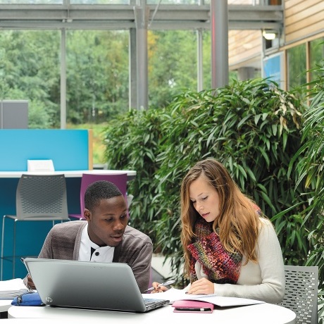 Computer Science ITI Transcript