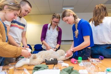 student bandaging a dog