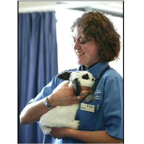 Small Animal Handling Tunic | University of Nottingham Online Store