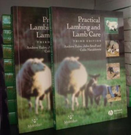 Practical Lambing