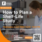 Workshop Flyer