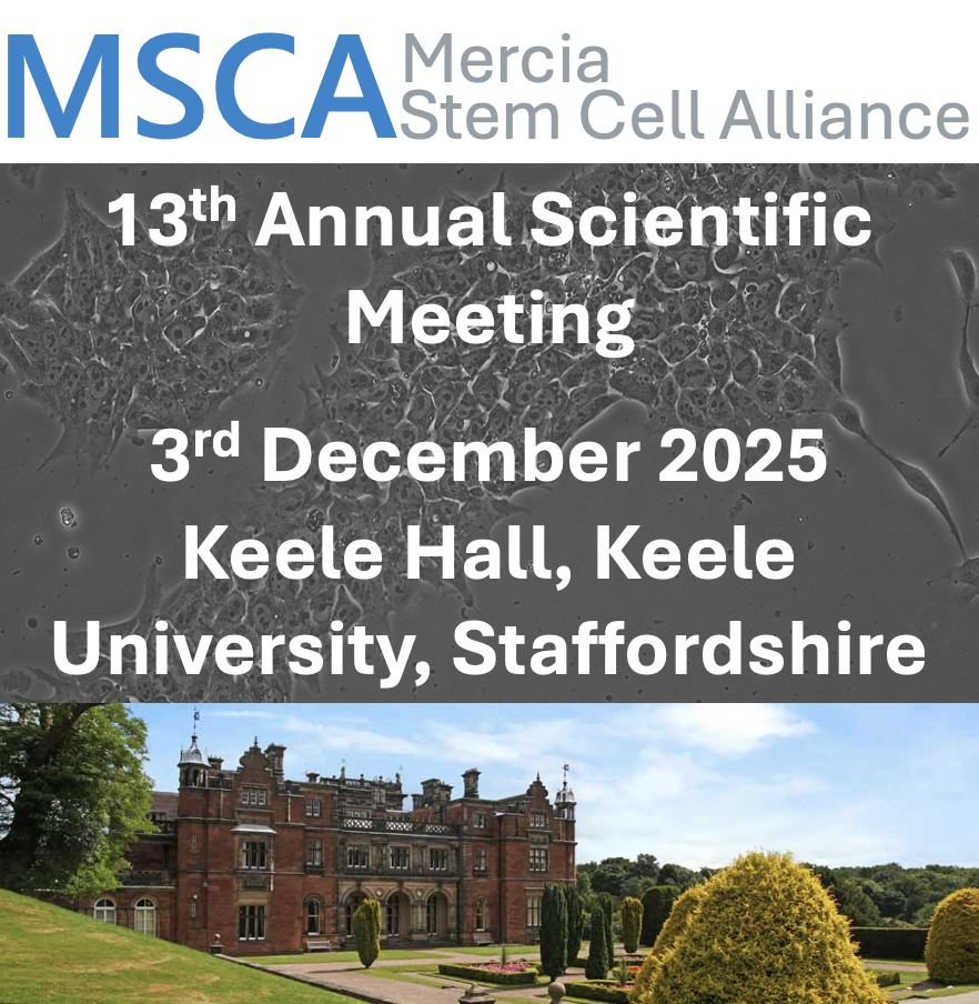 MSCA Banner