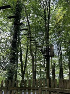Go ape