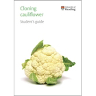 Cauliflower cloning kit Student's guide