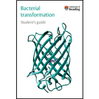 Bacterial transformation Student's guide