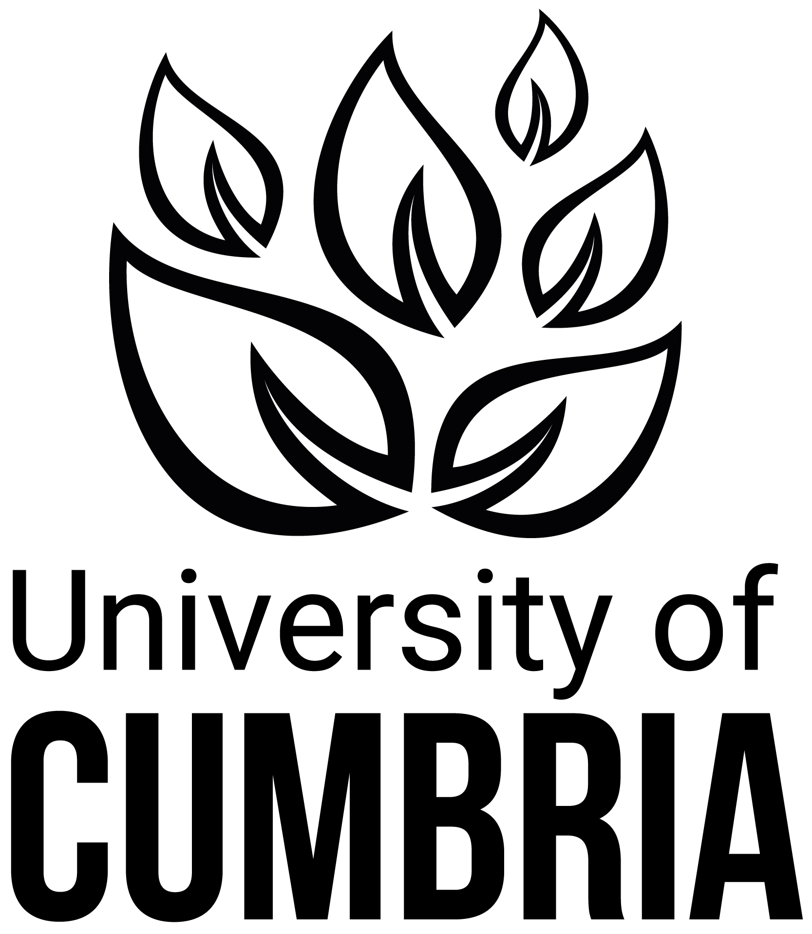 University of Cumbria Sports Injury Clinic