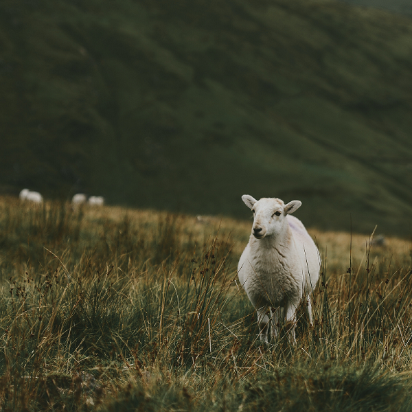 Wales, UK