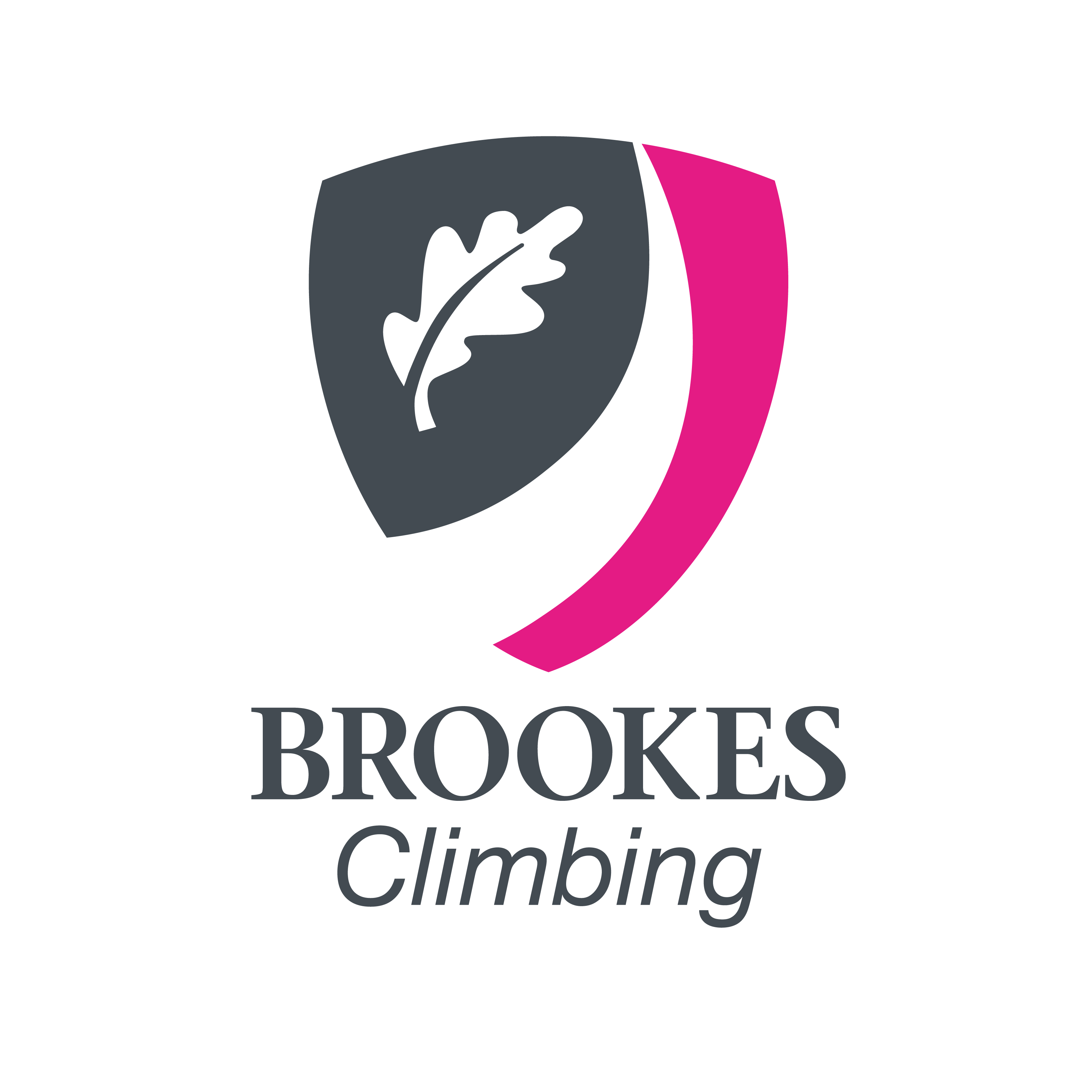 Brookes Climb