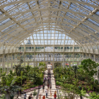 Image of Kew Gardens green house with plants