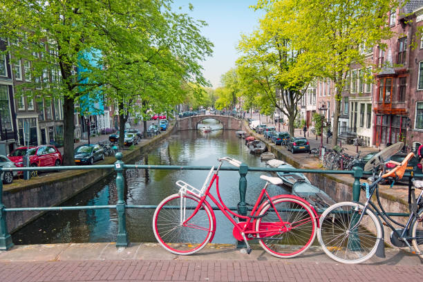 Amsterdam Bike Flowers