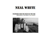 #33 Neal White: Fieldworks from the Museum of the Void, Experiments in the Event of an Archive