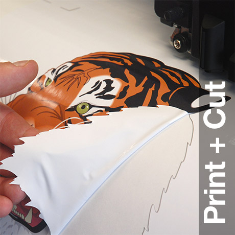 Print + Cut