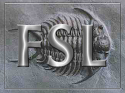 A logo of the FSL software program