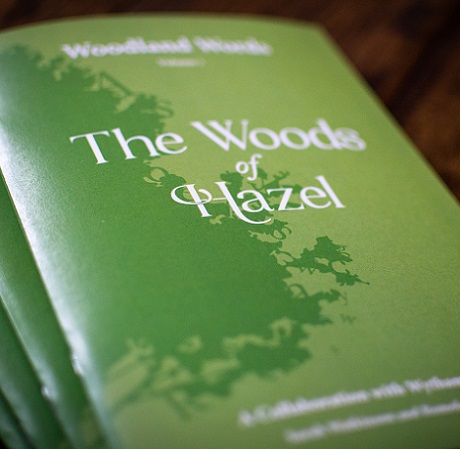 The poetry booklet, 'The Woods of Hazel'