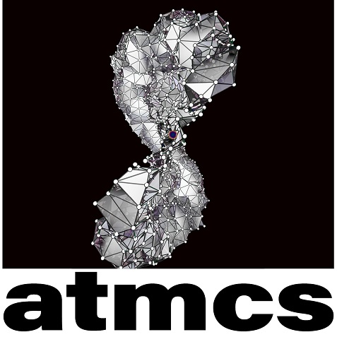 maths atmcs logo