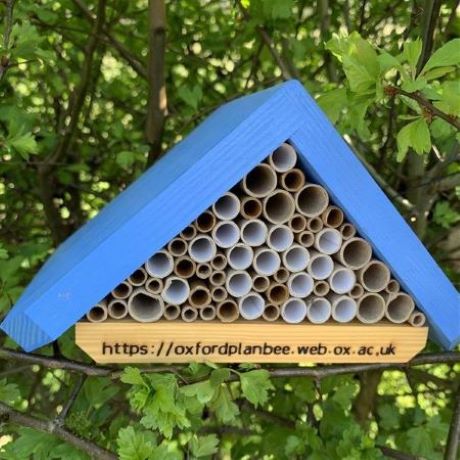 Triangular solitary bee nest box with blue roof