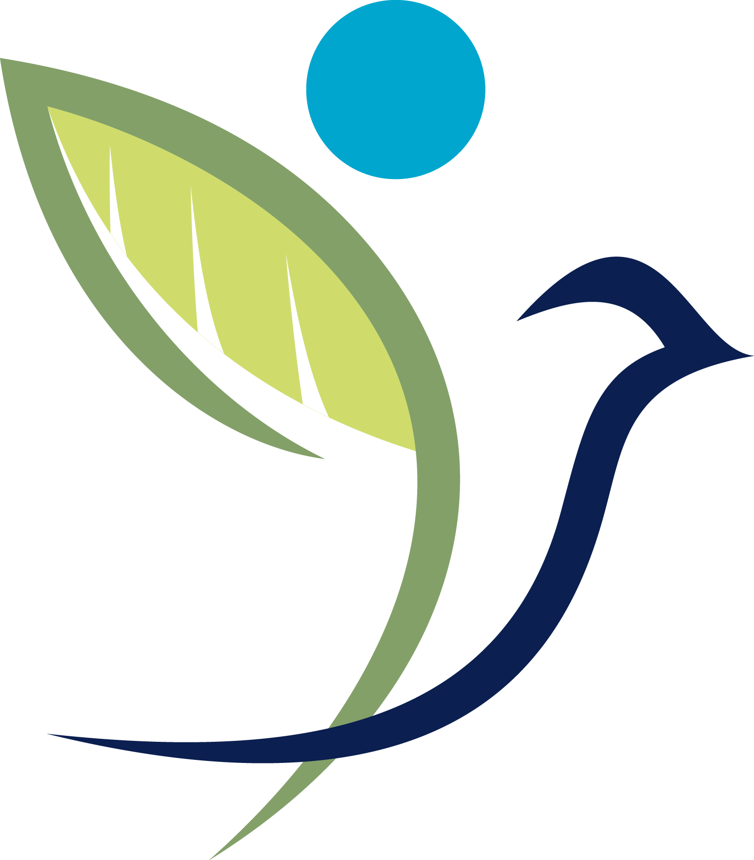 LSRI logo