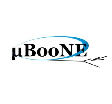 MicroBOONE conference on September 2025