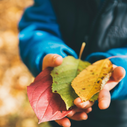 Oxford Education Deanery Climate & Nature Collaborative Conference 2026