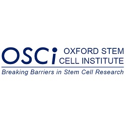 Ox Stem Cell Institute