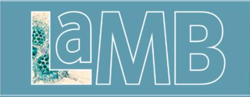 LaMB Event Payment Page