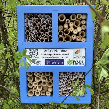 Large blue rectangular solitary bee nest box