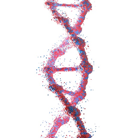Genomic image