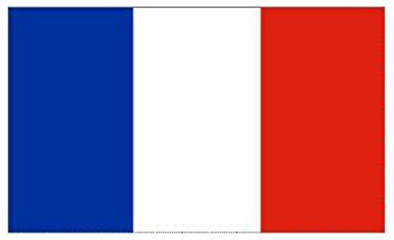 French 4 Online (Mondays 7-9pm)