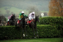 Equine Summer School Photo 