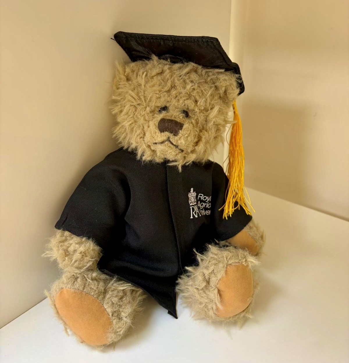 Graduation Bear