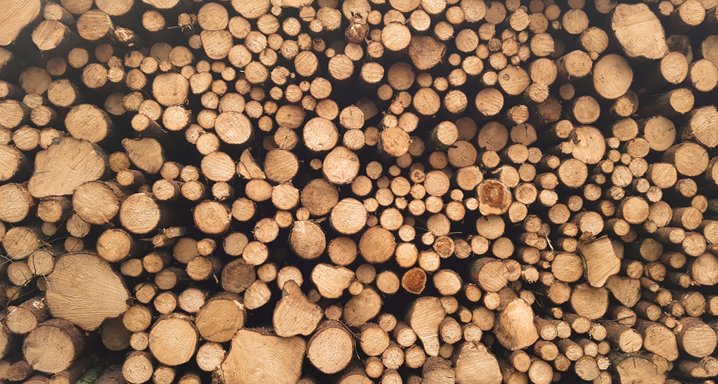 Coppicing