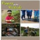 Playing on the Wildside