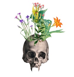 Recovering the Vampire Conference logo with an image of a vampire skull and a bunch of wild flowers