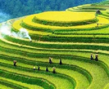 Vietnam